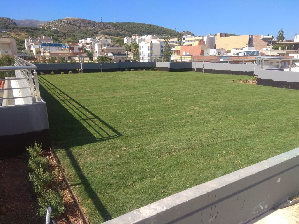 The green roof with lawn and plants around the edge, looking out to the hills of Rethymno.